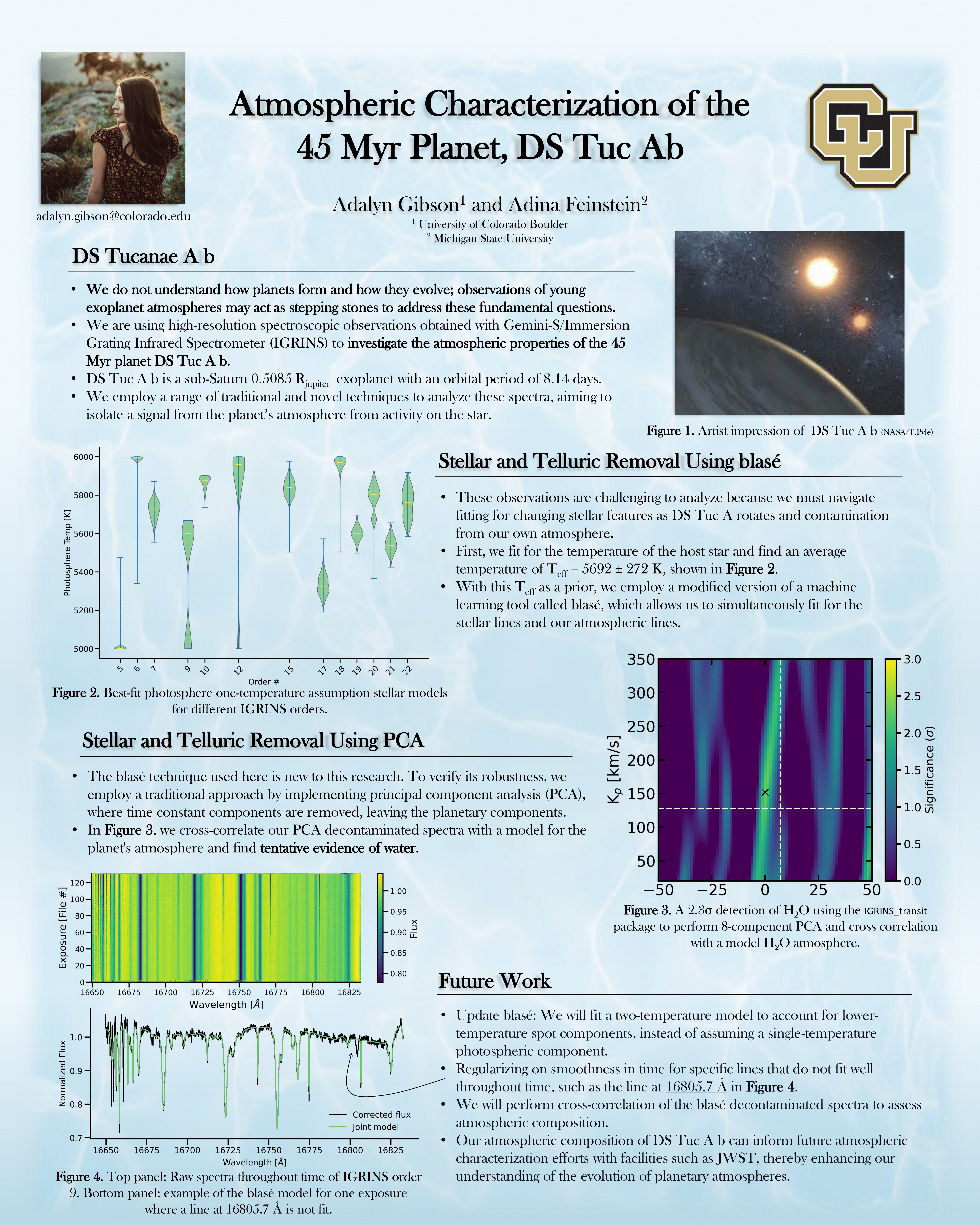 MSU Poster Presentation